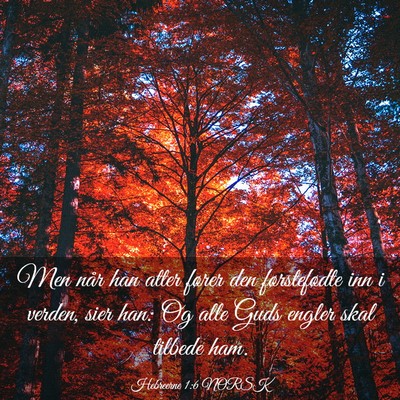 Picture 03 - Hebreerne 1:6 NORSK - Men når han atter fører den førstefødte inn i - Bible Verse Picture