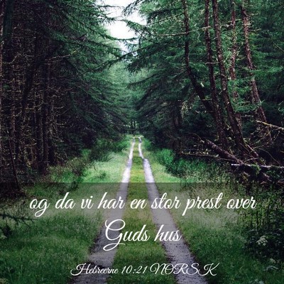 Picture 03 - Hebreerne 10:21 NORSK - og da vi har en stor prest over Guds - Bible Verse Picture