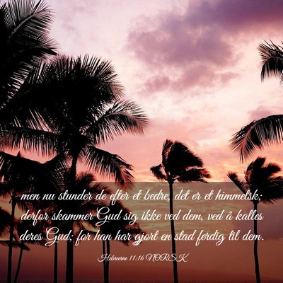 Picture 03 - Hebreerne 11:16 NORSK - men nu stunder de efter et bedre, det er et - Bible Verse Picture