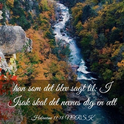 Picture 03 - Hebreerne 11:18 NORSK - han som det blev sagt til: I Isak skal det nevnes - Bible Verse Picture