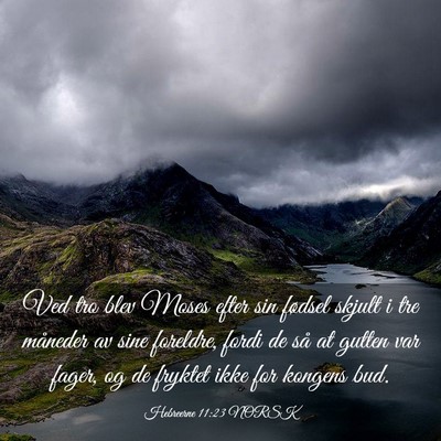 Picture 03 - Hebreerne 11:23 NORSK - Ved tro blev Moses efter sin fødsel skjult i tre - Bible Verse Picture