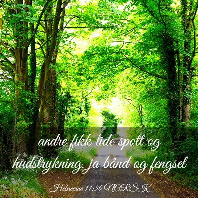 Picture 03 - Hebreerne 11:36 NORSK - andre fikk lide spott og hudstrykning, ja bånd - Bible Verse Picture