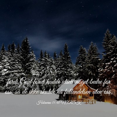 Picture 03 - Hebreerne 11:40 NORSK - fordi Gud forut hadde utsett noget bedre for oss, - Bible Verse Picture