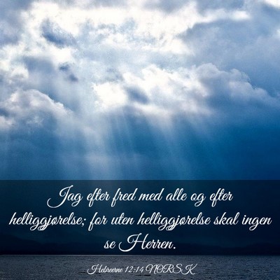 Picture 03 - Hebreerne 12:14 NORSK - Jag efter fred med alle og efter helliggjørelse; - Bible Verse Picture
