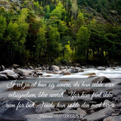 Picture 03 - Hebreerne 12:17 NORSK - I vet jo at han og senere, da han vilde arve - Bible Verse Picture