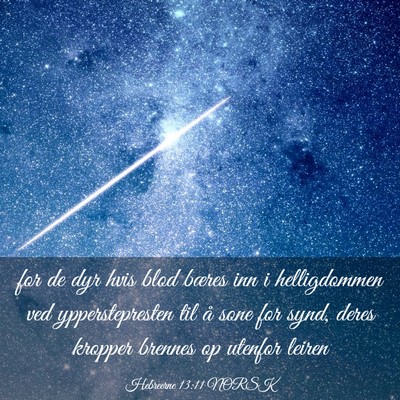 Picture 03 - Hebreerne 13:11 NORSK - for de dyr hvis blod bæres inn i helligdommen - Bible Verse Picture