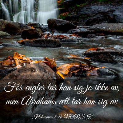 Picture 03 - Hebreerne 2:16 NORSK - For engler tar han sig jo ikke av, men Abrahams - Bible Verse Picture