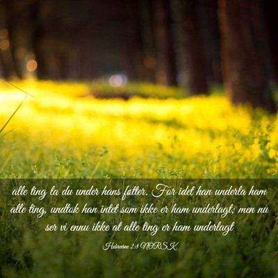 Picture 03 - Hebreerne 2:8 NORSK - alle ting la du under hans føtter. For idet han - Bible Verse Picture