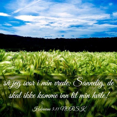 Picture 03 - Hebreerne 3:11 NORSK - så jeg svor i min vrede: Sannelig, de skal ikke - Bible Verse Picture
