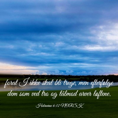 Picture 03 - Hebreerne 6:12 NORSK - forat I ikke skal bli trege, men efterfølge dem - Bible Verse Picture