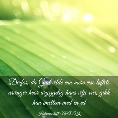 Picture 03 - Hebreerne 6:17 NORSK - Derfor, da Gud vilde enn mere vise løftets - Bible Verse Picture