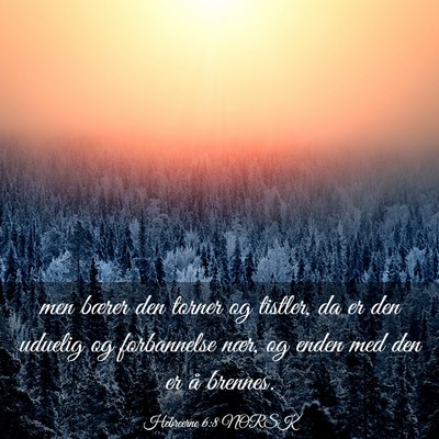 Picture 03 - Hebreerne 6:8 NORSK - men bærer den torner og tistler, da er den - Bible Verse Picture