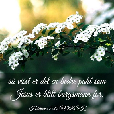 Picture 03 - Hebreerne 7:22 NORSK - så visst er det en bedre pakt som Jesus er blitt - Bible Verse Picture