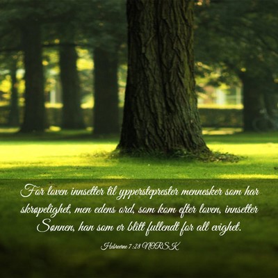 Picture 03 - Hebreerne 7:28 NORSK - For loven innsetter til yppersteprester mennesker - Bible Verse Picture