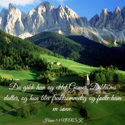 Picture 03 - Hosea 1:3 NORSK - Da gikk han og ektet Gomer, Dibla'ms datter, og - Bible Verse Picture