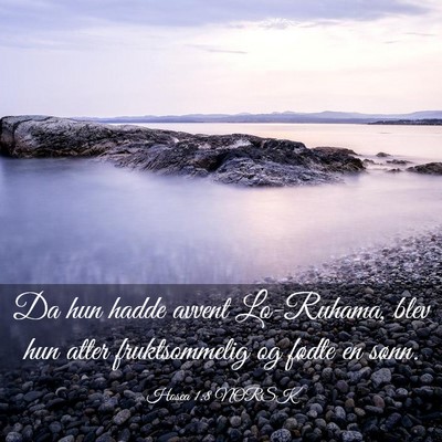 Picture 03 - Hosea 1:8 NORSK - Da hun hadde avvent Lo-Ruhama, blev hun atter - Bible Verse Picture
