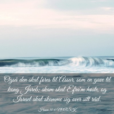 Picture 03 - Hosea 10:6 NORSK - Også den skal føres til Assur, som en gave til - Bible Verse Picture