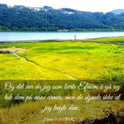 Picture 03 - Hosea 11:3 NORSK - Og det var da jeg som lærte Efra'm å gå og tok - Bible Verse Picture