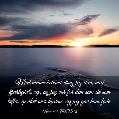 Picture 03 - Hosea 11:4 NORSK - Med menneskebånd drog jeg dem, med kjærlighets - Bible Verse Picture