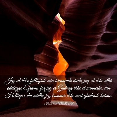 Picture 03 - Hosea 11:9 NORSK - Jeg vil ikke fullbyrde min brennende vrede, jeg - Bible Verse Picture