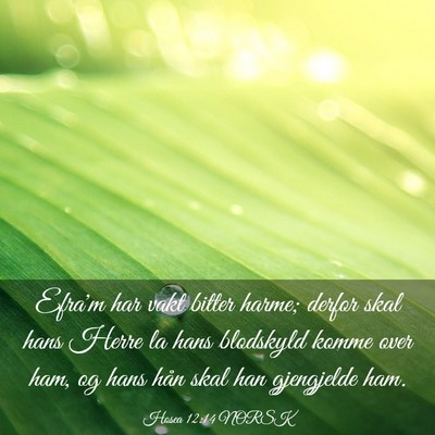 Picture 03 - Hosea 12:14 NORSK - Efra'm har vakt bitter harme; derfor skal hans - Bible Verse Picture
