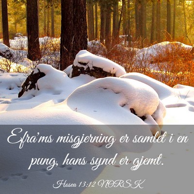 Picture 03 - Hosea 13:12 NORSK - Efra'ms misgjerning er samlet i en pung, hans - Bible Verse Picture