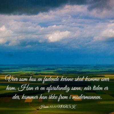 Picture 03 - Hosea 13:13 NORSK - Veer som hos en fødende kvinne skal komme over - Bible Verse Picture