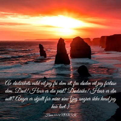 Picture 03 - Hosea 13:14 NORSK - Av dødsrikets vold vil jeg fri dem ut, fra - Bible Verse Picture