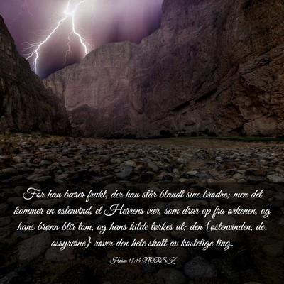 Picture 03 - Hosea 13:15 NORSK - For han bærer frukt, der han står blandt sine - Bible Verse Picture