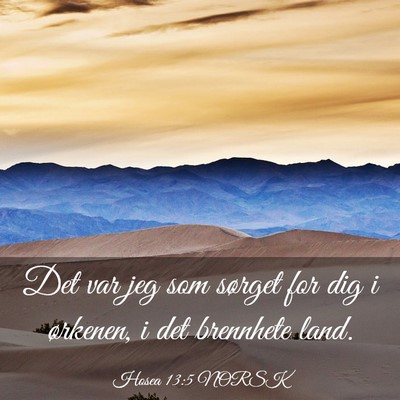 Picture 03 - Hosea 13:5 NORSK - Det var jeg som sørget for dig i ørkenen, i det - Bible Verse Picture
