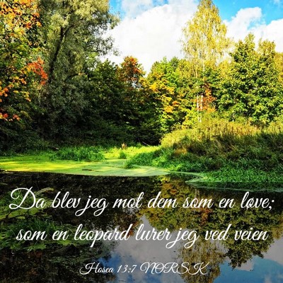 Picture 03 - Hosea 13:7 NORSK - Da blev jeg mot dem som en løve; som en leopard - Bible Verse Picture