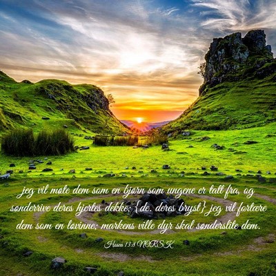Picture 03 - Hosea 13:8 NORSK - jeg vil møte dem som en bjørn som ungene er - Bible Verse Picture