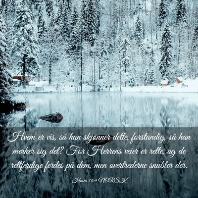 Picture 03 - Hosea 14:9 NORSK - Hvem er vis, så han skjønner dette, forstandig, - Bible Verse Picture