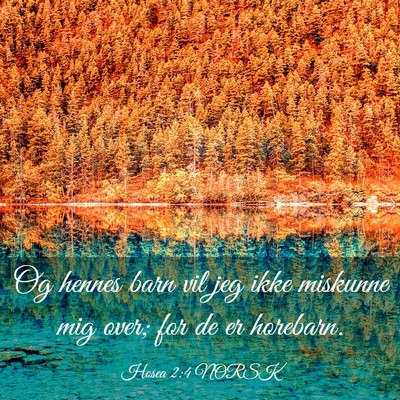 Picture 03 - Hosea 2:4 NORSK - Og hennes barn vil jeg ikke miskunne mig over; - Bible Verse Picture