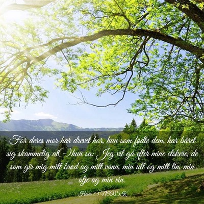 Picture 03 - Hosea 2:5 NORSK - For deres mor har drevet hor, hun som fødte dem, - Bible Verse Picture