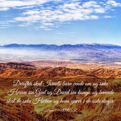 Picture 03 - Hosea 3:5 NORSK - Derefter skal Israels barn vende om og søke - Bible Verse Picture