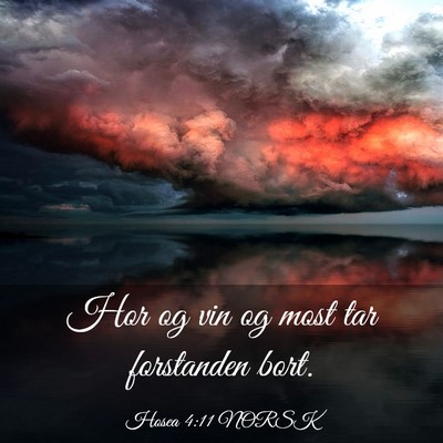 Picture 03 - Hosea 4:11 NORSK - Hor og vin og most tar forstanden - Bible Verse Picture