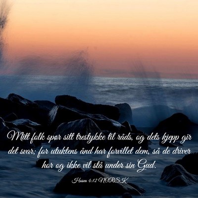 Picture 03 - Hosea 4:12 NORSK - Mitt folk spør sitt trestykke til råds, og dets - Bible Verse Picture