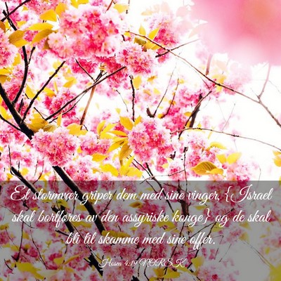 Picture 03 - Hosea 4:19 NORSK - Et stormvær griper dem med sine vinger, {Israel - Bible Verse Picture
