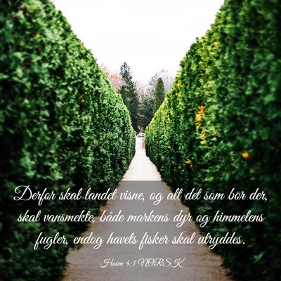 Picture 03 - Hosea 4:3 NORSK - Derfor skal landet visne, og alt det som bor der, - Bible Verse Picture