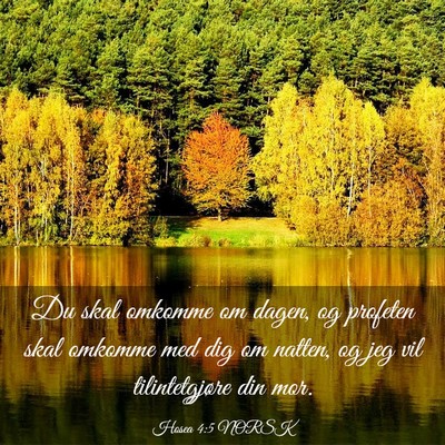 Picture 03 - Hosea 4:5 NORSK - Du skal omkomme om dagen, og profeten skal - Bible Verse Picture