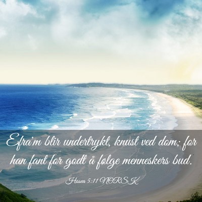 Picture 03 - Hosea 5:11 NORSK - Efra'm blir undertrykt, knust ved dom; for han - Bible Verse Picture