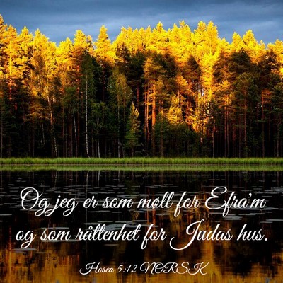 Picture 03 - Hosea 5:12 NORSK - Og jeg er som møll for Efra'm og som råttenhet - Bible Verse Picture