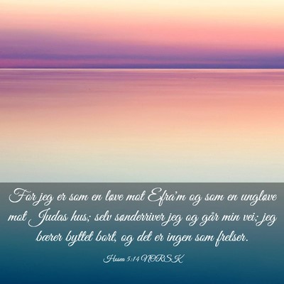 Picture 03 - Hosea 5:14 NORSK - For jeg er som en løve mot Efra'm og som en - Bible Verse Picture