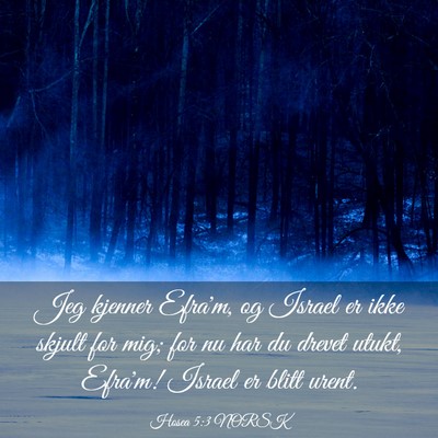 Picture 03 - Hosea 5:3 NORSK - Jeg kjenner Efra'm, og Israel er ikke skjult for - Bible Verse Picture