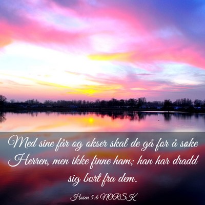 Picture 03 - Hosea 5:6 NORSK - Med sine får og okser skal de gå for å søke - Bible Verse Picture