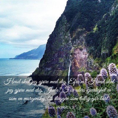 Picture 03 - Hosea 6:4 NORSK - Hvad skal jeg gjøre med dig, Efra'm? Hvad skal - Bible Verse Picture