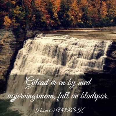 Picture 03 - Hosea 6:8 NORSK - Gilead er en by med ugjerningsmenn, full av - Bible Verse Picture