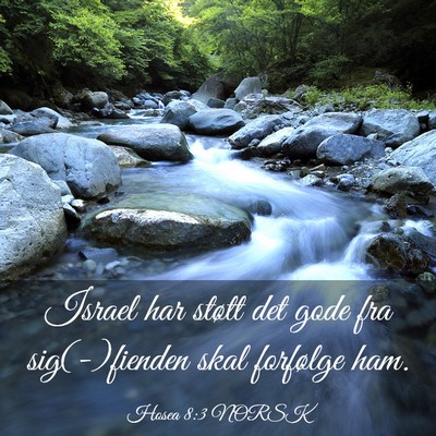 Picture 03 - Hosea 8:3 NORSK - Israel har støtt det gode fra sig(-)fienden skal - Bible Verse Picture