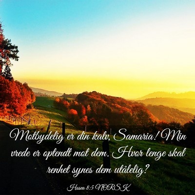 Picture 03 - Hosea 8:5 NORSK - Motbydelig er din kalv, Samaria! Min vrede er - Bible Verse Picture
